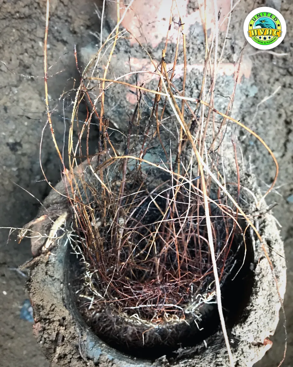 Sewer Line Repair